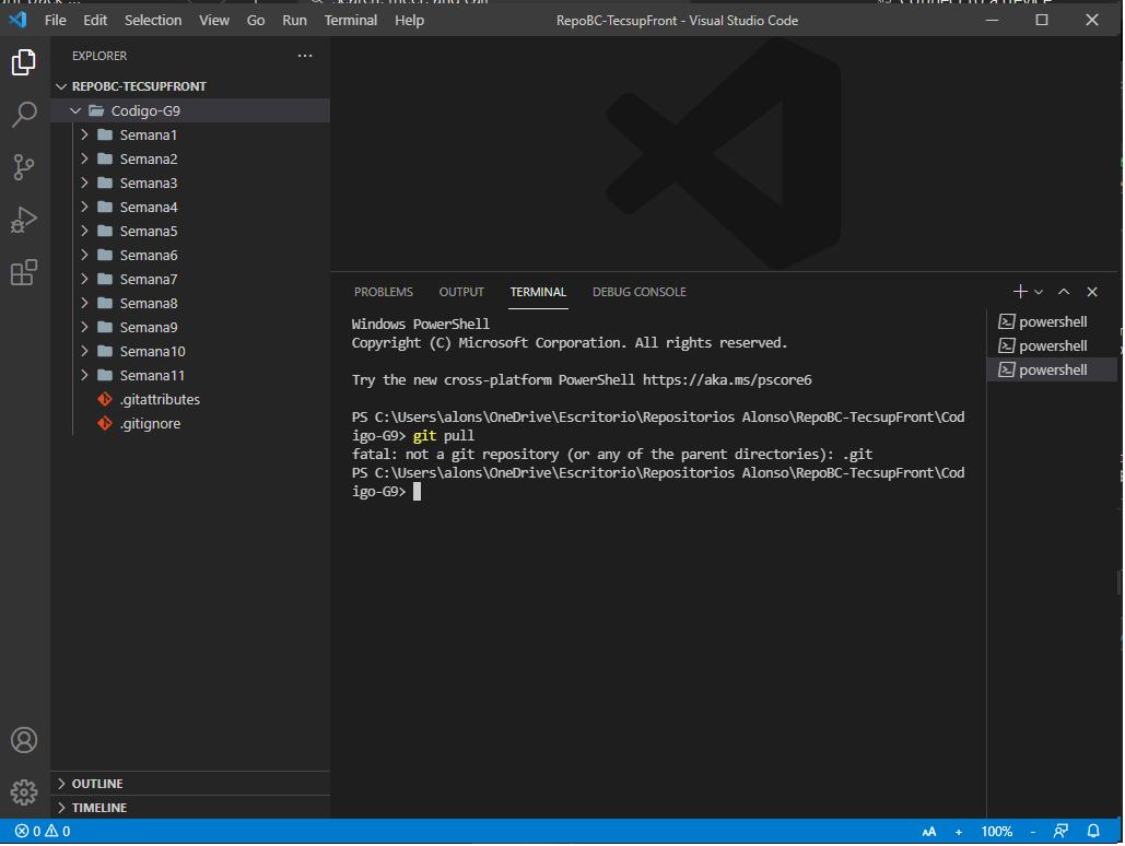 vscode pic