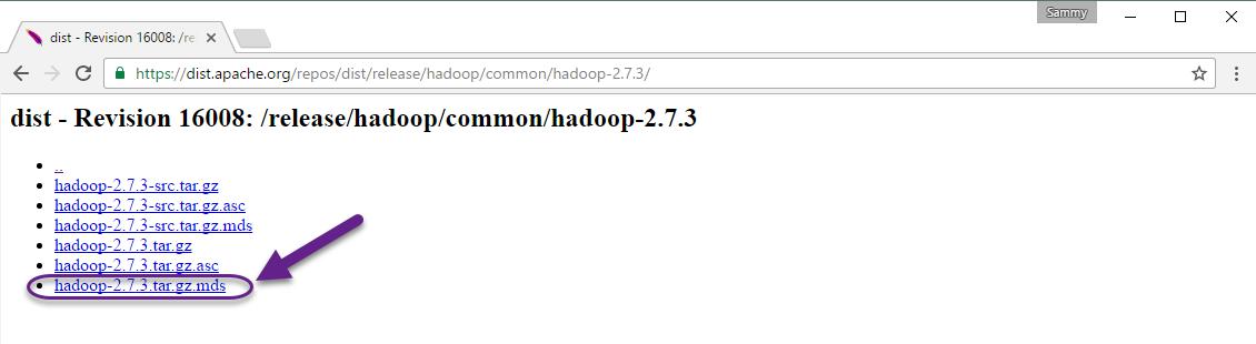 Screenshot highlighting the .mds file