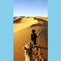 Scaled vertical image