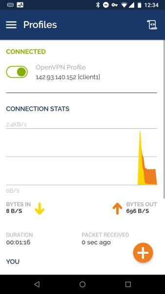 The OpenVPN Android app connected to the VPN