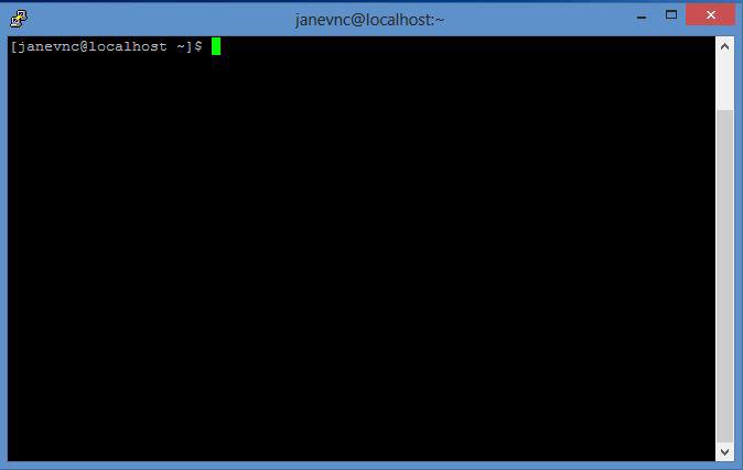 SSH Terminal Session for janevnc
