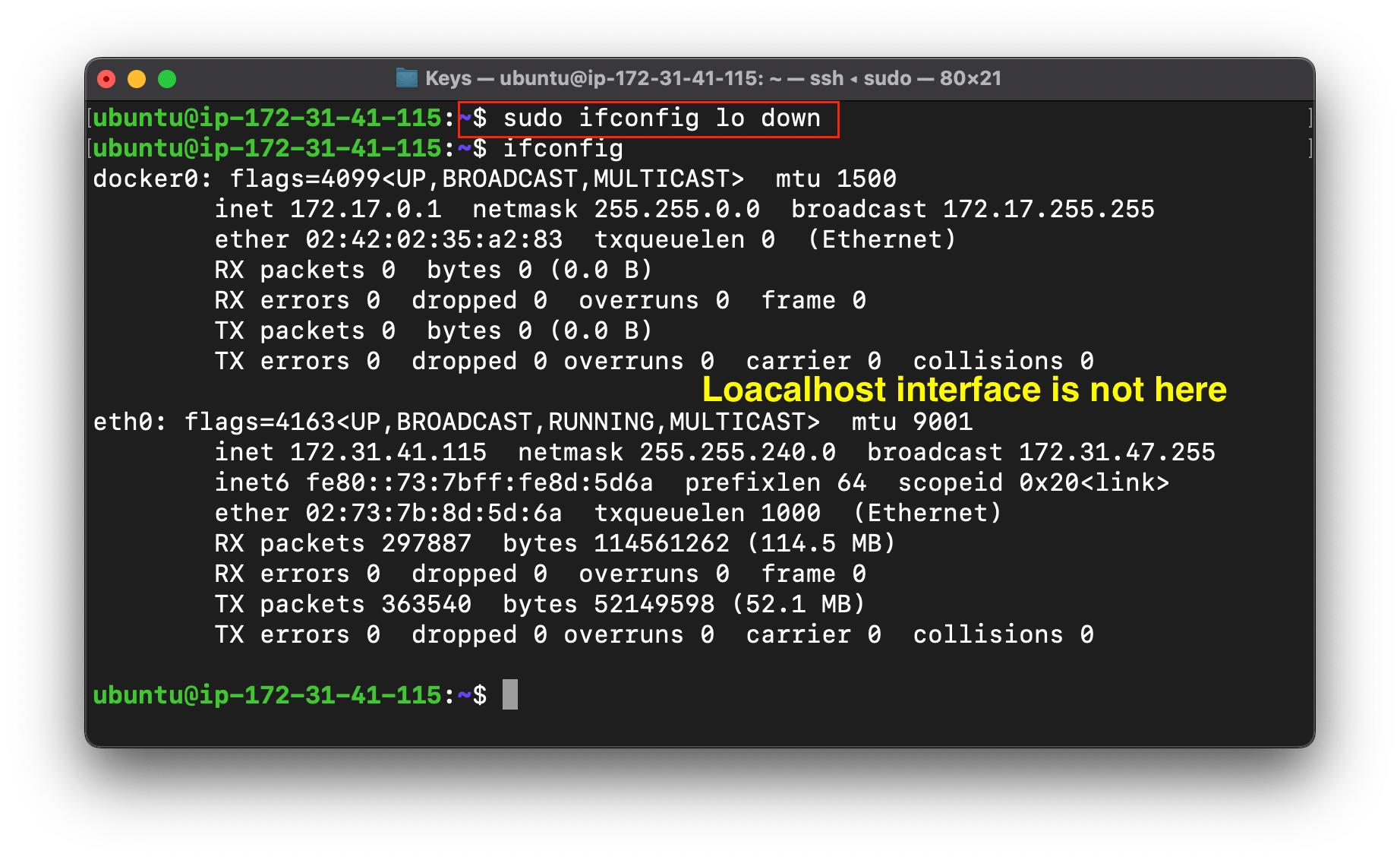 Screenshot 2022-08-19 at 2.48.35 PM.png