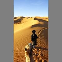 Scaled vertical image