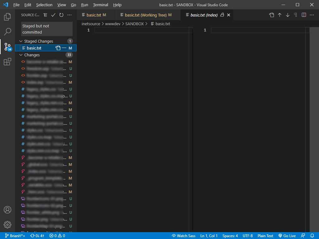 VS Code changes are blank for both the current and previous versions