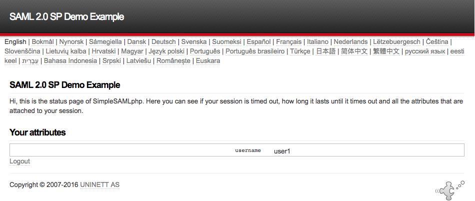 The successful Demo page