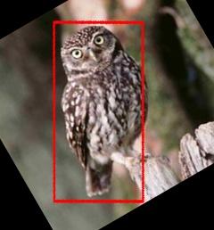 Rotated Image