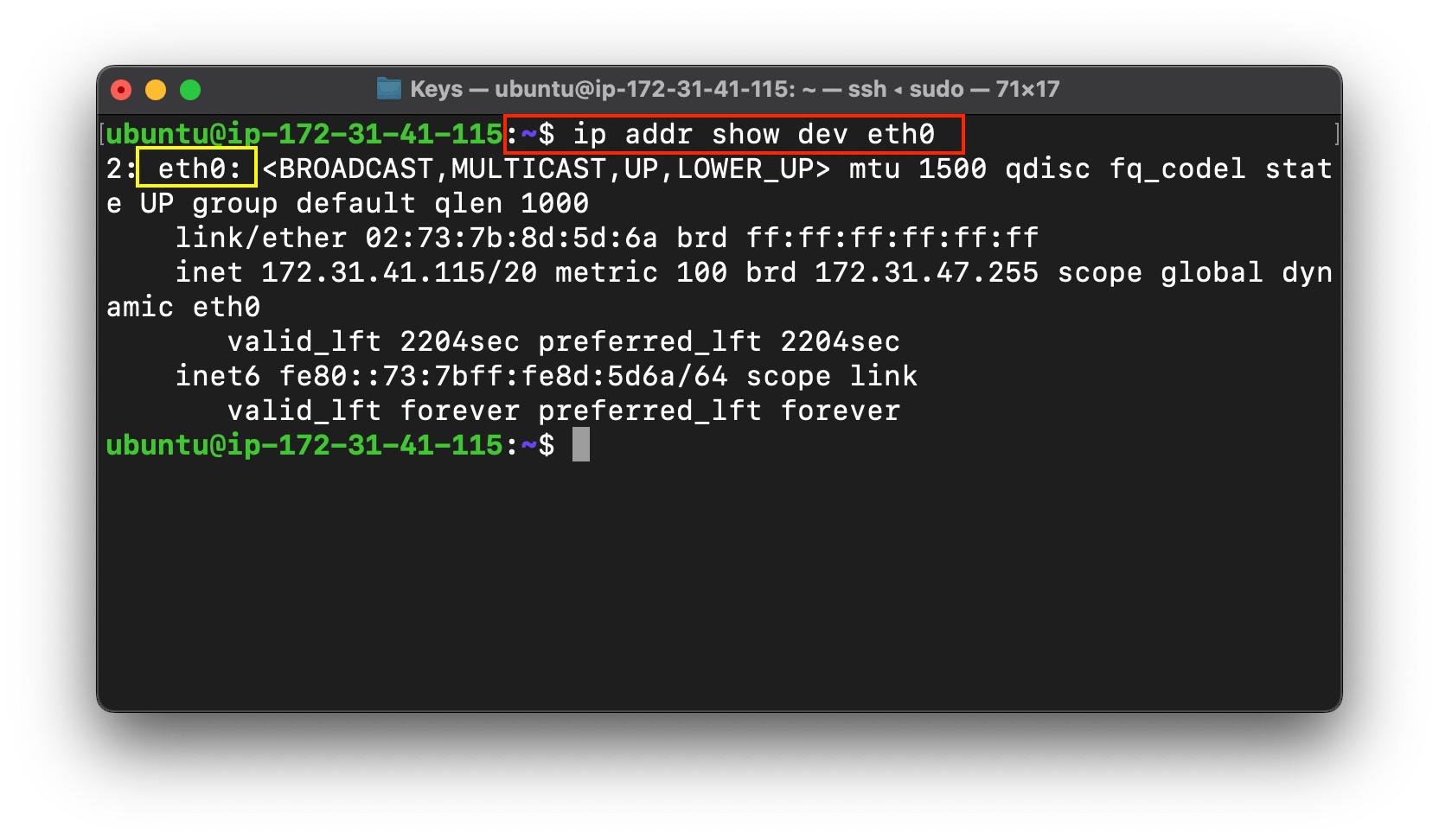 Screenshot 2022-08-19 at 4.53.47 PM.png