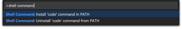 VSCode screen capture