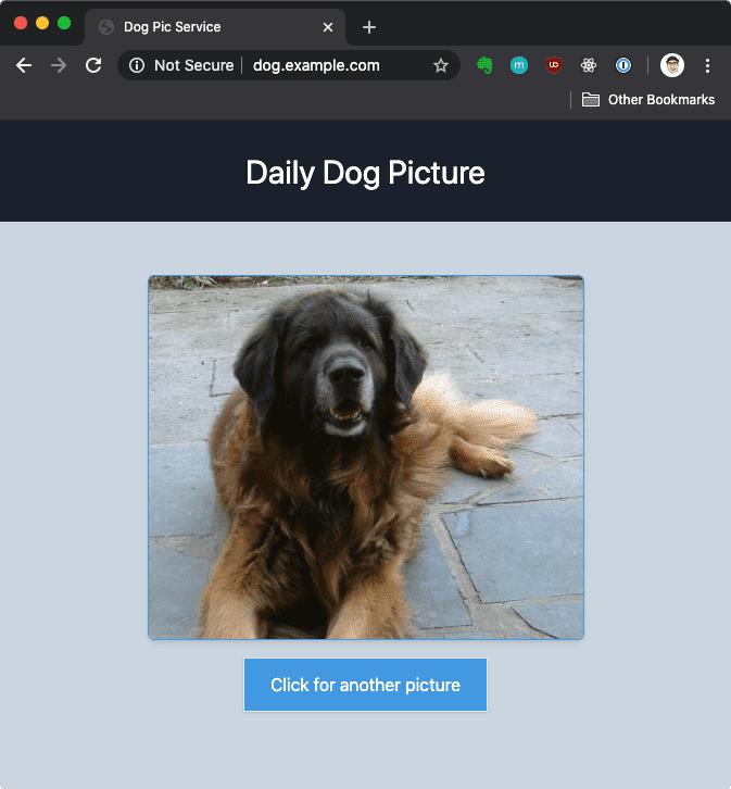 Dog Pic Website Dog Pic Website