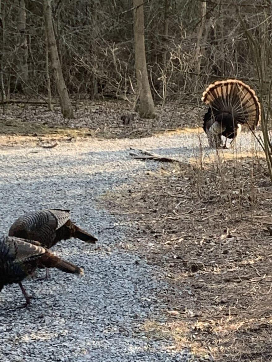 未知的推文媒体内容