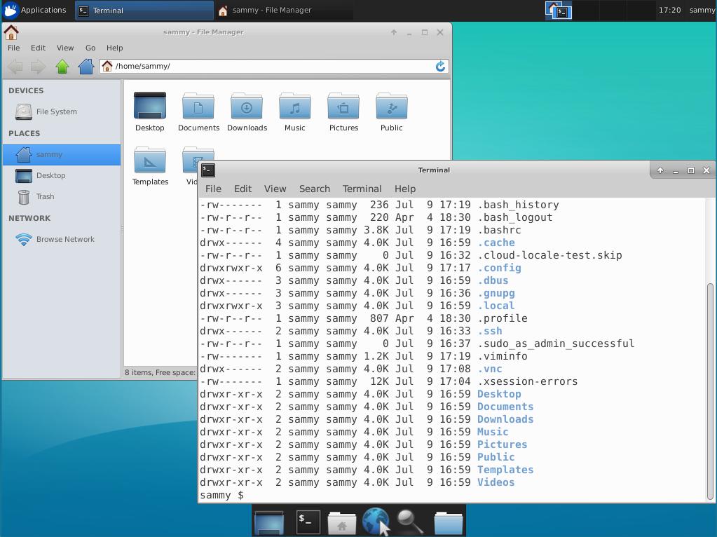 Files via VNC connection to Ubuntu 18.04