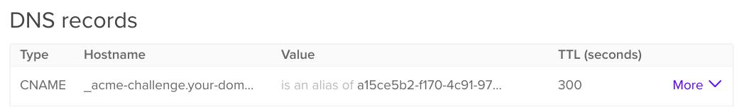 DigitalOcean DNS控制面板的屏幕截图,显示ACME DNS的CNAME记录示例