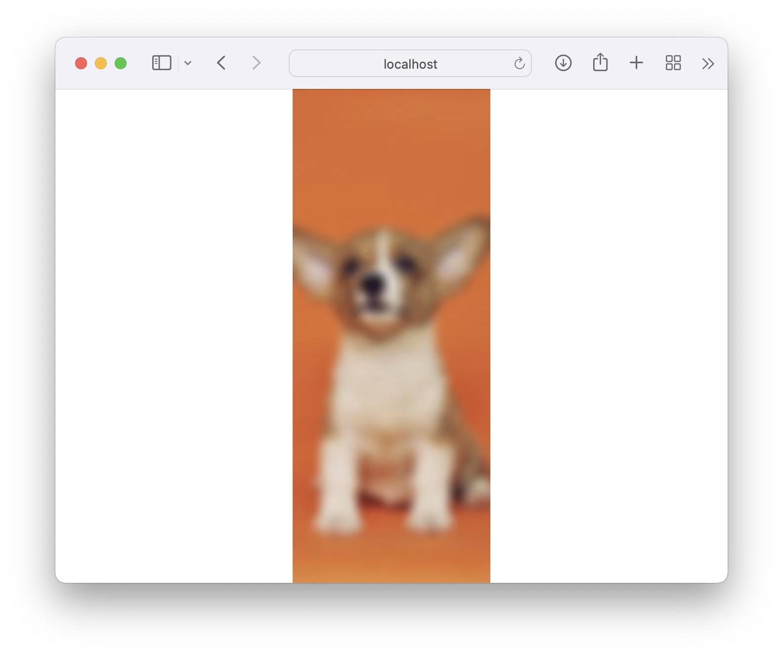 Screenshot of resized puppy image with blur effect
