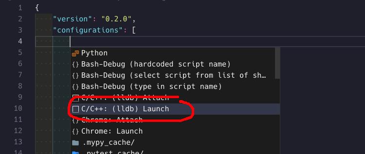 VS Code - launch.json - C/C++ option